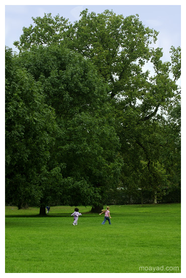 runing in the green field